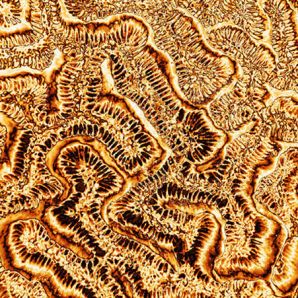 Or et recherche médicale