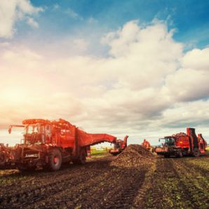 Spécial Investissement : Groupement Foncier Agricole, la fiscalité plus que la rentabilité