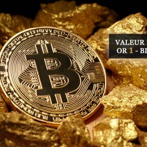 Valeur refuge : Or 1 – Bitcoin 0